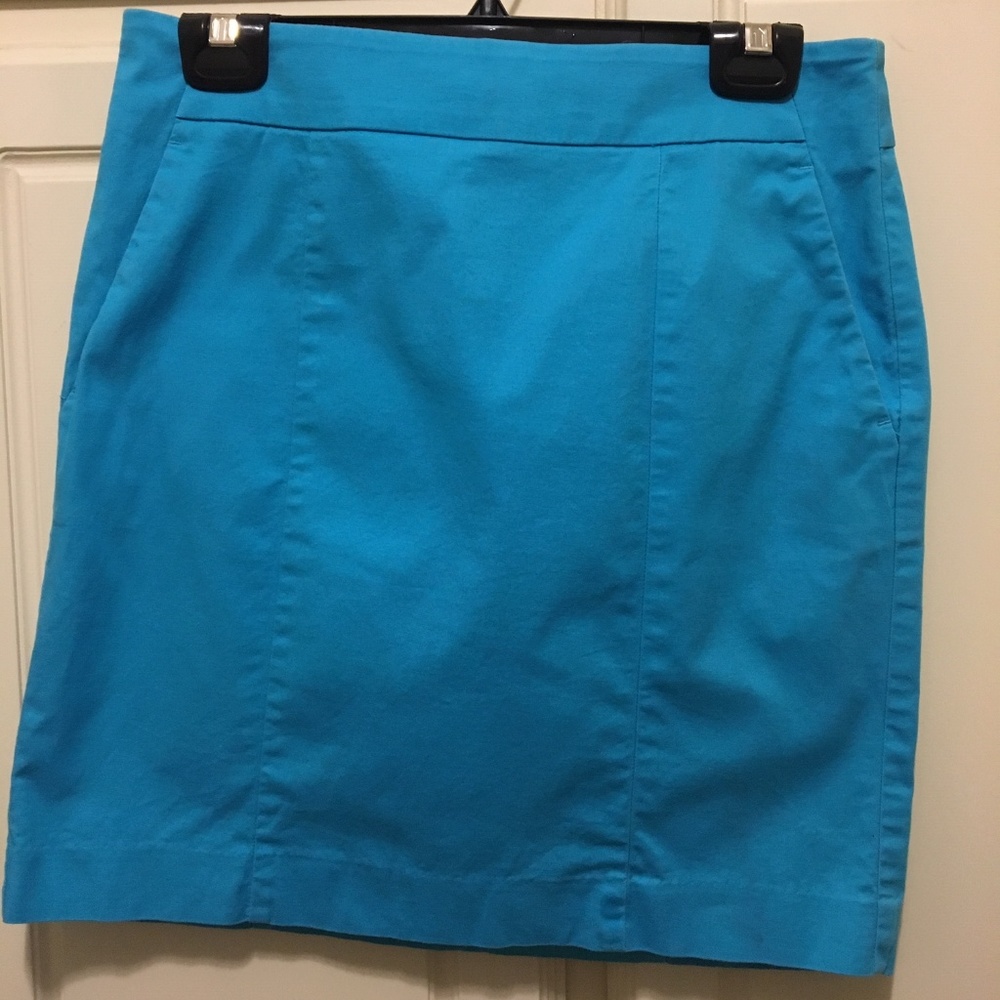 Ann Taylor Madison Skirt - Blue